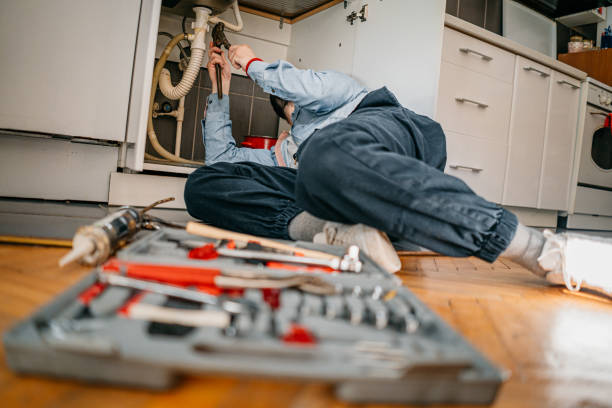 Best Commercial Plumbing Services  in Mesita, NM