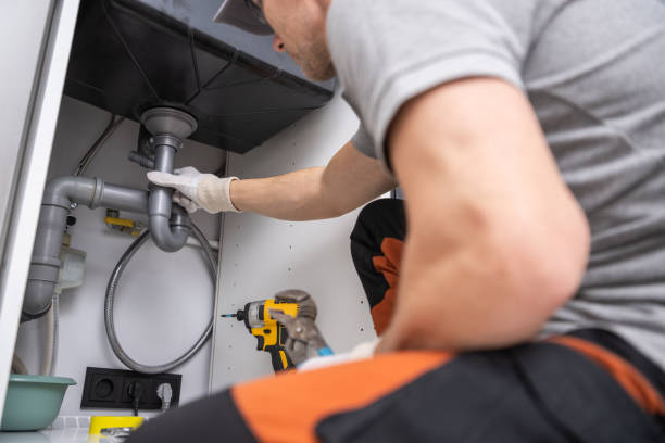 Best Plumbing Inspection Services  in Mesita, NM